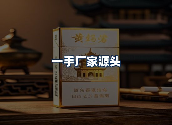 专业团队办公环境